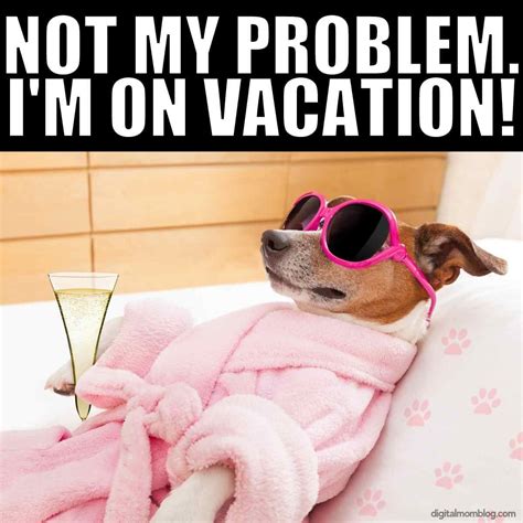 🐣 25+ Best Memes About Back From Vacation Meme .